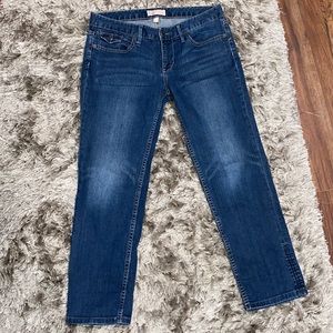 Size 6 / 28 Banana Republic Stretch Jeans